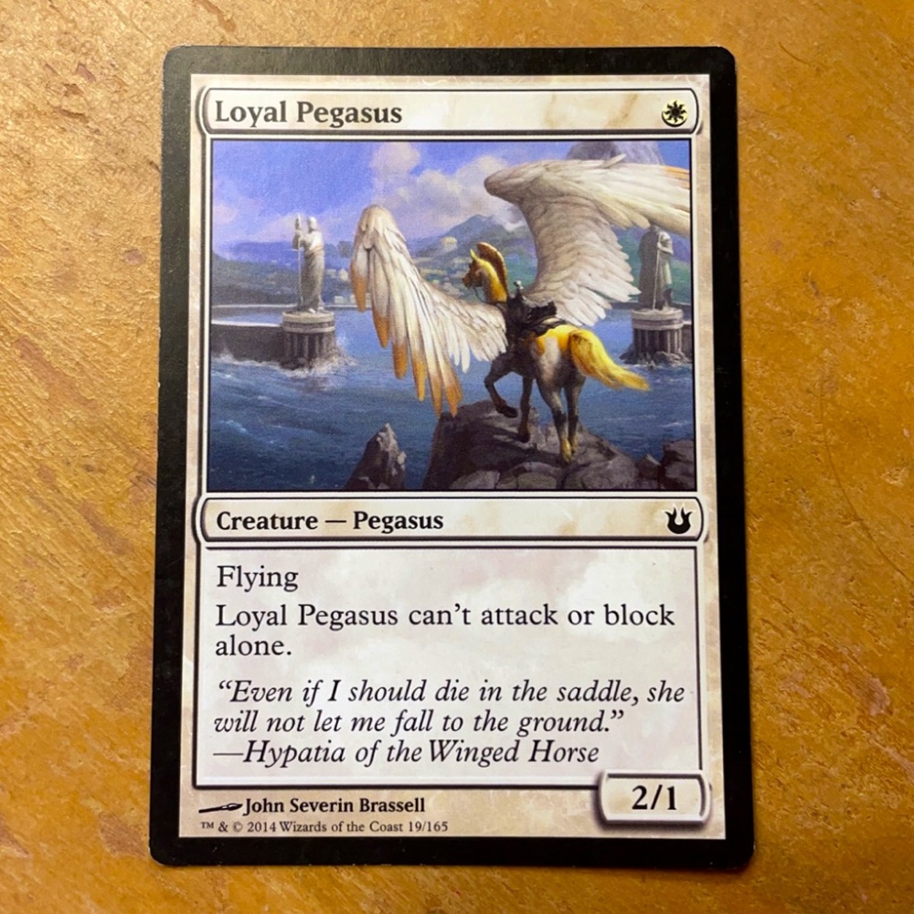 loyal pegasus 19/165 magic the gathering card